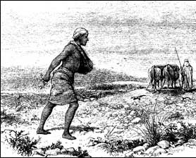 Sower Sowing Seed